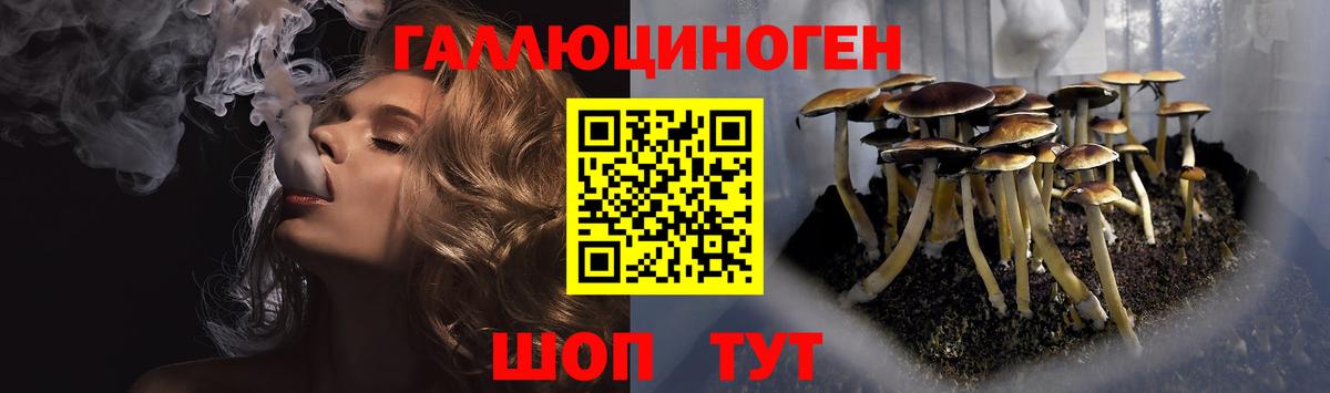 Псилоцибиновые грибы прущие грибы  Галлюциногенные грибы Cubensis  Удомля  наркошоп  Вход с VPN 